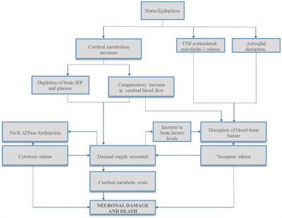 Case report: Invasive neuromonitoring in status epilepticus induced hypoxic ischemic brain injury